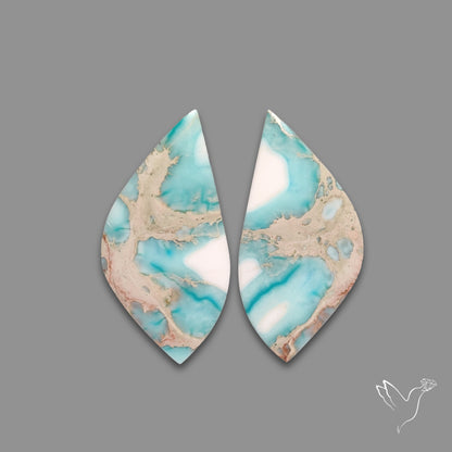 Sea Sediment Jasper Pair