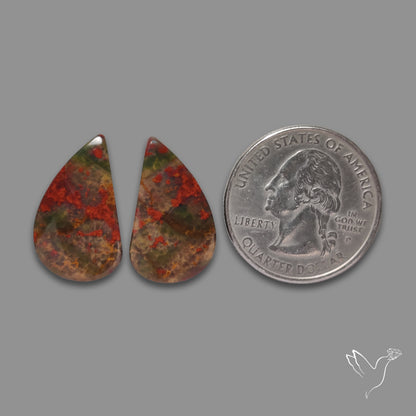 Bloodstone Pair