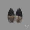 Apache Gold Pair