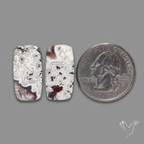 Crazylace Agates Pair