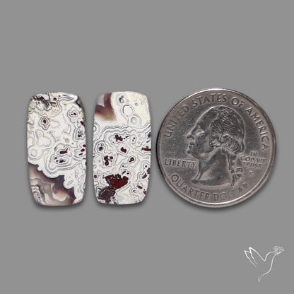 Crazylace Agates Pair
