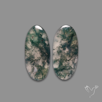 Moss Agate Pair