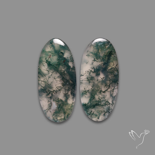 Moss Agate Pair