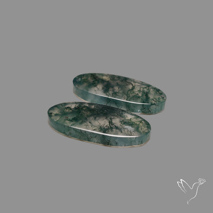 Moss Agate Pair