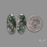 Moss Agate Pair