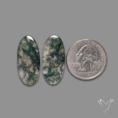 Moss Agate Pair