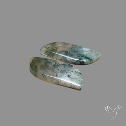 Moss Agate Pair