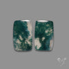Moss Agate Pair