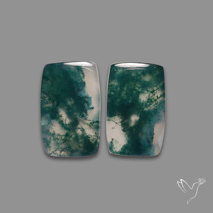 Moss Agate Pair