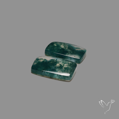 Moss Agate Pair
