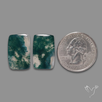 Moss Agate Pair