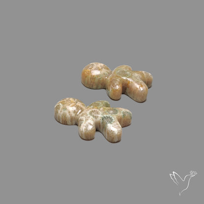 Fossil Coral Gingerbread Boy Carving Pair