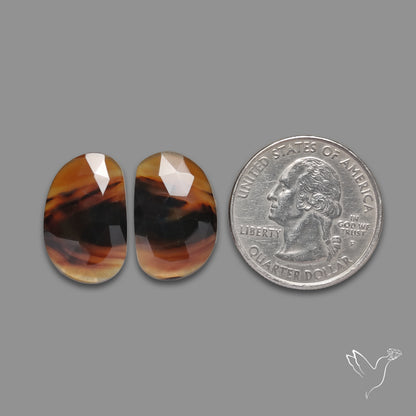 Rose Cut Montana Agate Pair