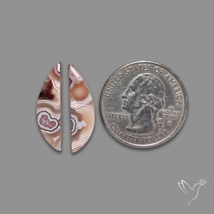 Crazylace Agate Pair