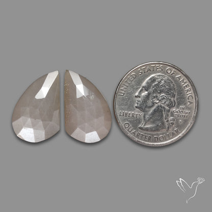 Rose Cut Grey Moonstone Pair