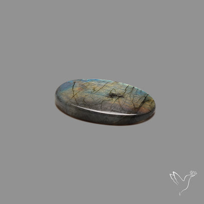 Rainbow Spectrolite Cabochon
