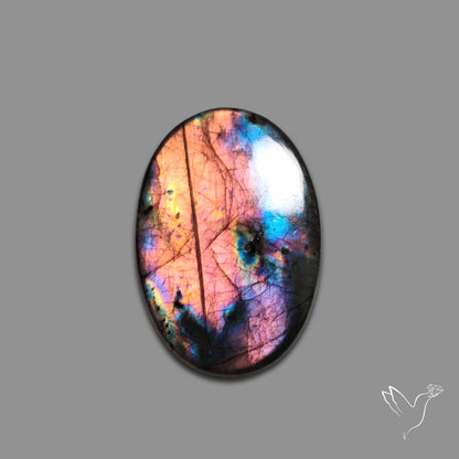 Rainbow Spectrolite Cabochon