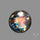 Rainbow Spectrolite Cabochon
