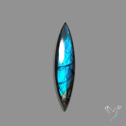 Rainbow Spectrolite Cabochon