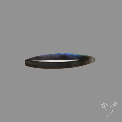 Rainbow Spectrolite Cabochon