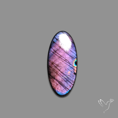 Electric Blue Spectrolite Cabochon
