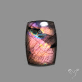 Rainbow Spectrolite Cabochon