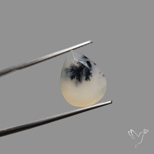 Faceted Dendritic Opal