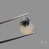 Faceted Dendritic Opal
