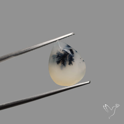 Faceted Dendritic Opal