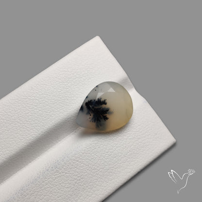 Faceted Dendritic Opal