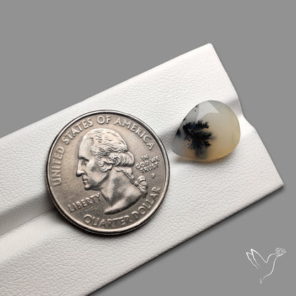 Faceted Dendritic Opal