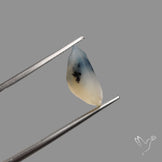 Faceted Dendritic Opal