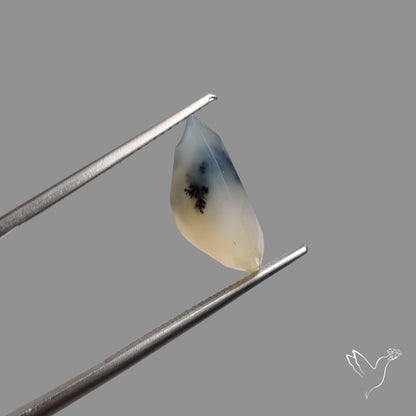 Faceted Dendritic Opal