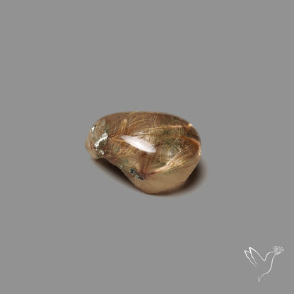 Lodolite Cabochon Uneven Back