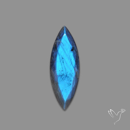 Portrait Cut Blue Labradorite