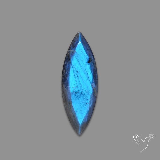 Portrait Cut Blue Labradorite