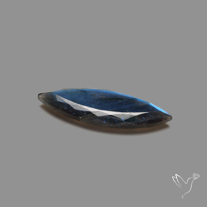 Portrait Cut Blue Labradorite