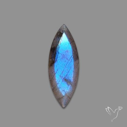Portrait Cut Blue Labradorite