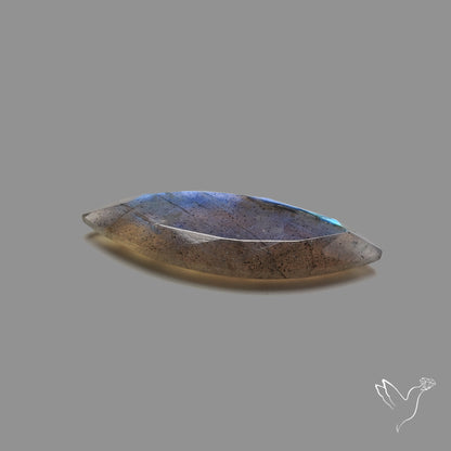 Portrait Cut Blue Labradorite