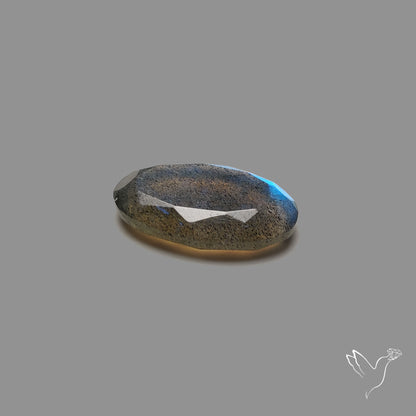 Portrait Cut Blue Labradorite