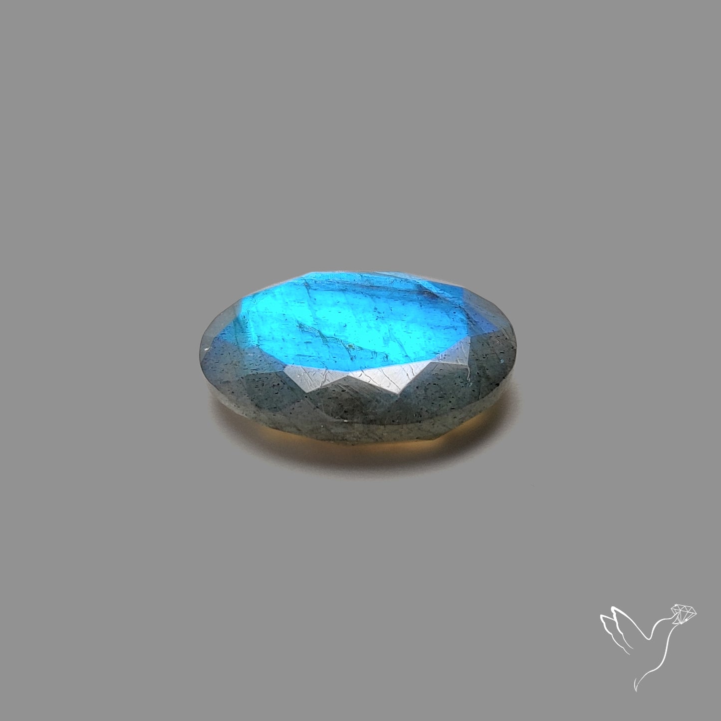 Portrait Cut Blue Labradorite