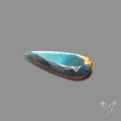 Portrait Cut Blue Labradorite