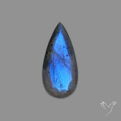 Portrait Cut Blue Labradorite