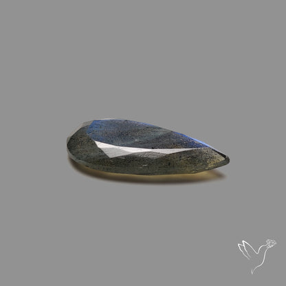 Portrait Cut Blue Labradorite