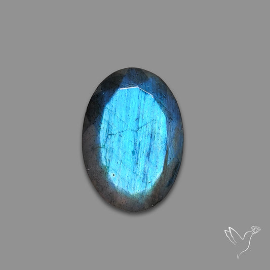 Portrait Cut Blue Labradorite