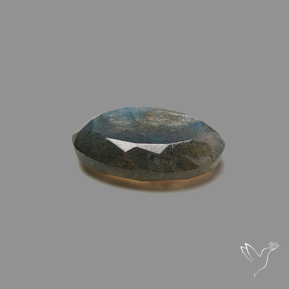 Portrait Cut Blue Labradorite