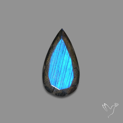 Portrait Cut Blue Labradorite