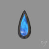 Portrait Cut Blue Labradorite