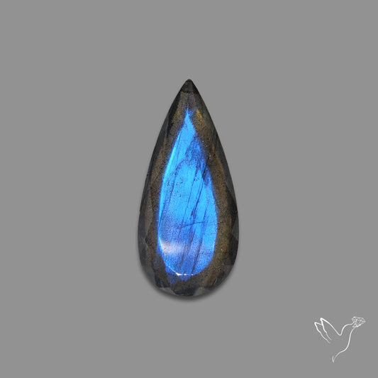 Portrait Cut Blue Labradorite