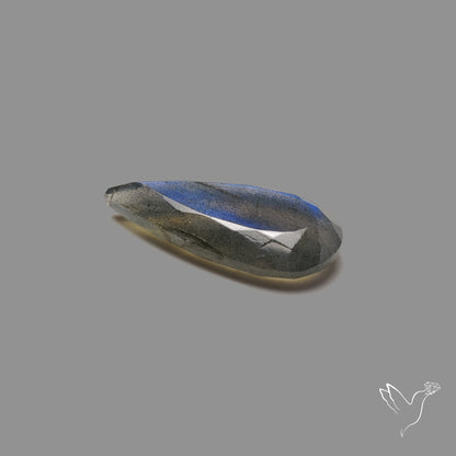 Portrait Cut Blue Labradorite